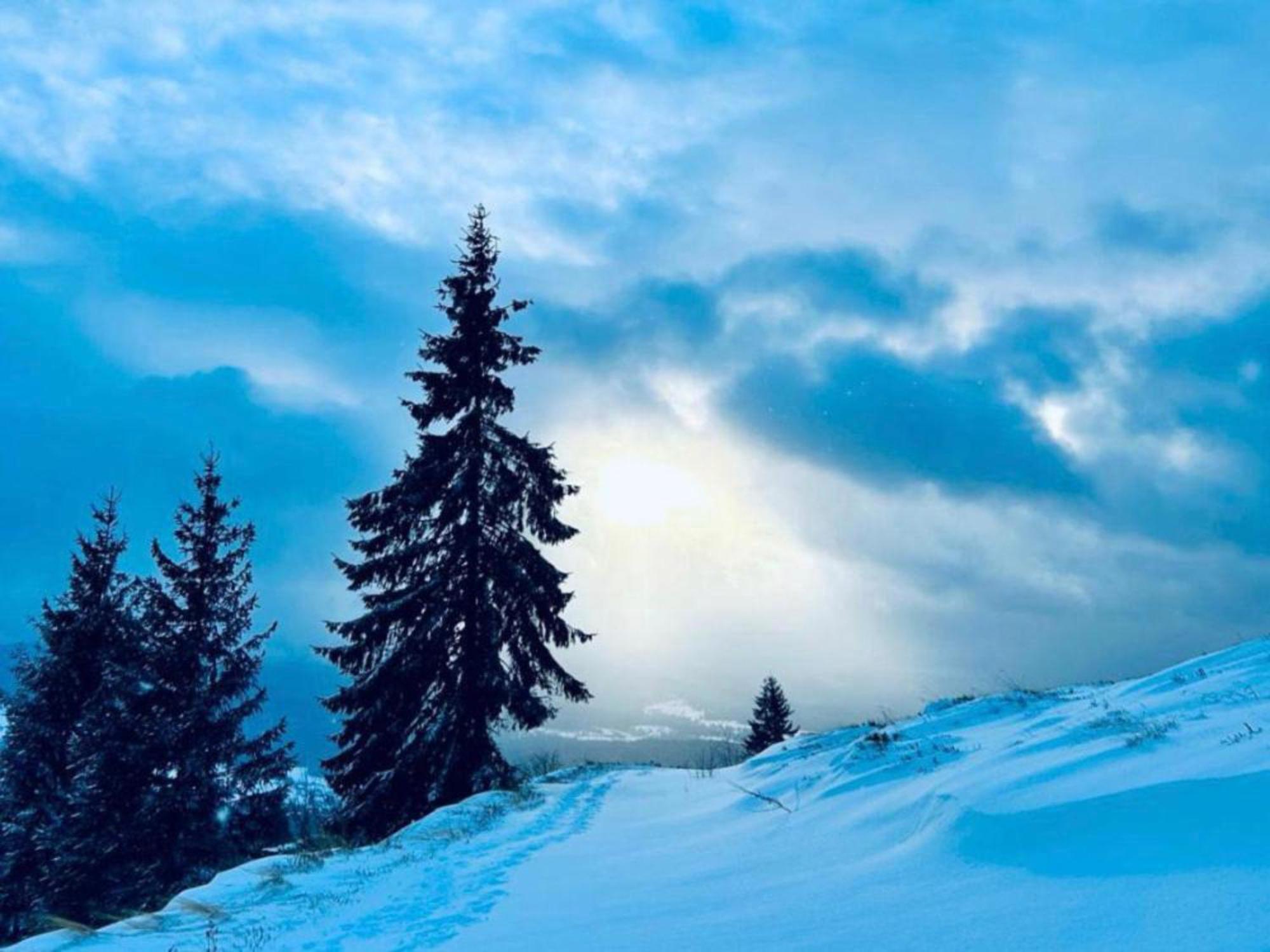 Tiarra Mountain Lodge Beliş Exteriör bild